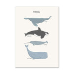 Affiche Baleines 40 x 60 cm